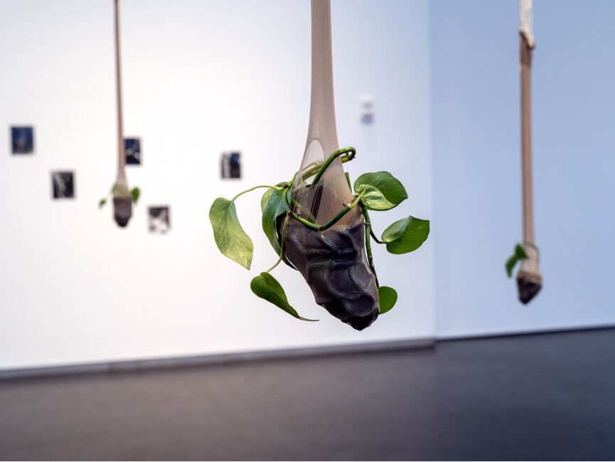 A plant hangs from a vase suspended from a the ceiling in a gallery