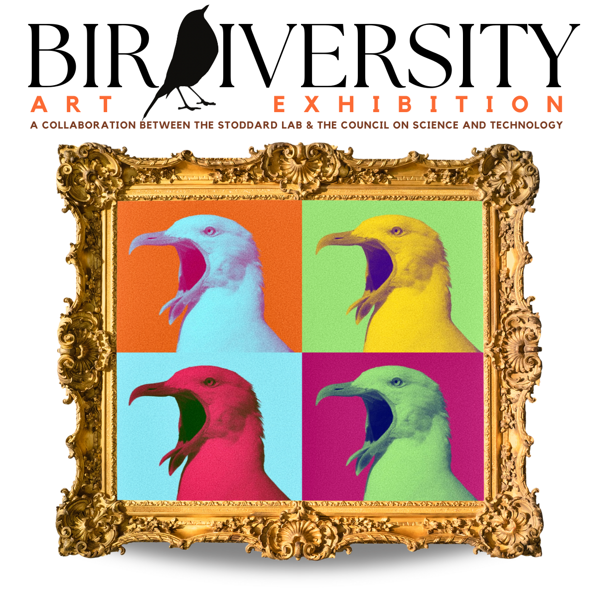 birdiversity-art-exhibition