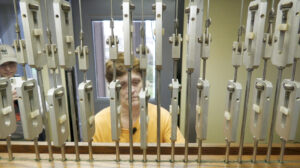 A person seen through a curtain-like extension of mechanical parts of a carillon musical instrument.