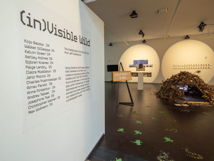 The entrance to a gallery space filled with structures made from natural materials has the words (in)Visible Wild printed on it