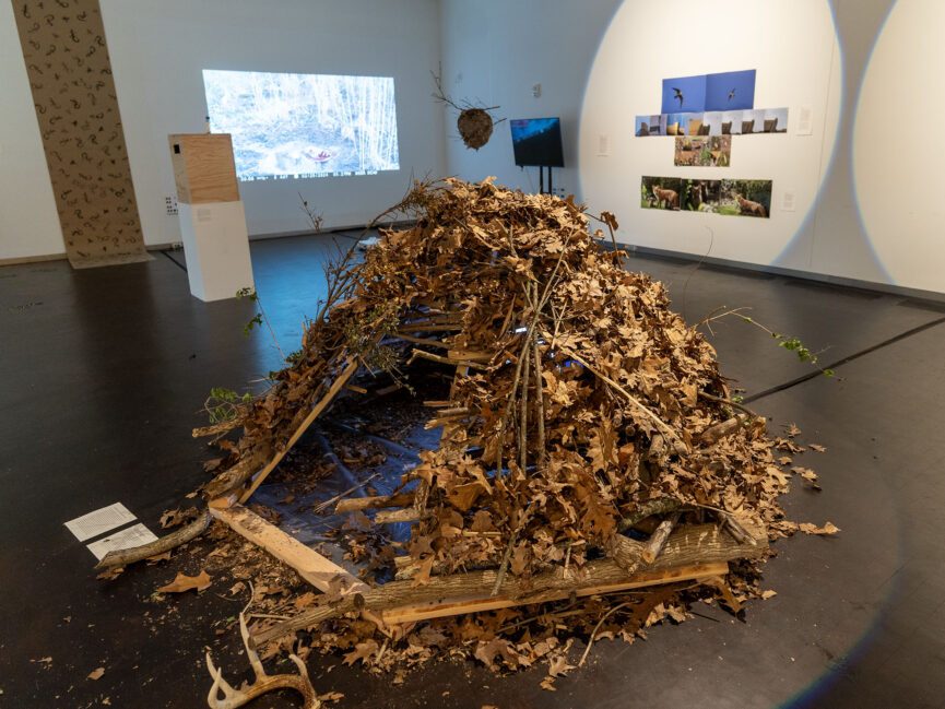 A structure made of sticks and leaves sits in the center of a gallery space surrounded by photos and video monitors