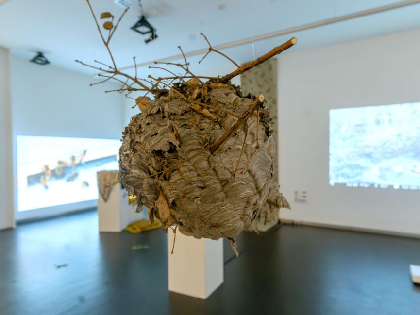 An inactive hive hangs in the center of a gallery space